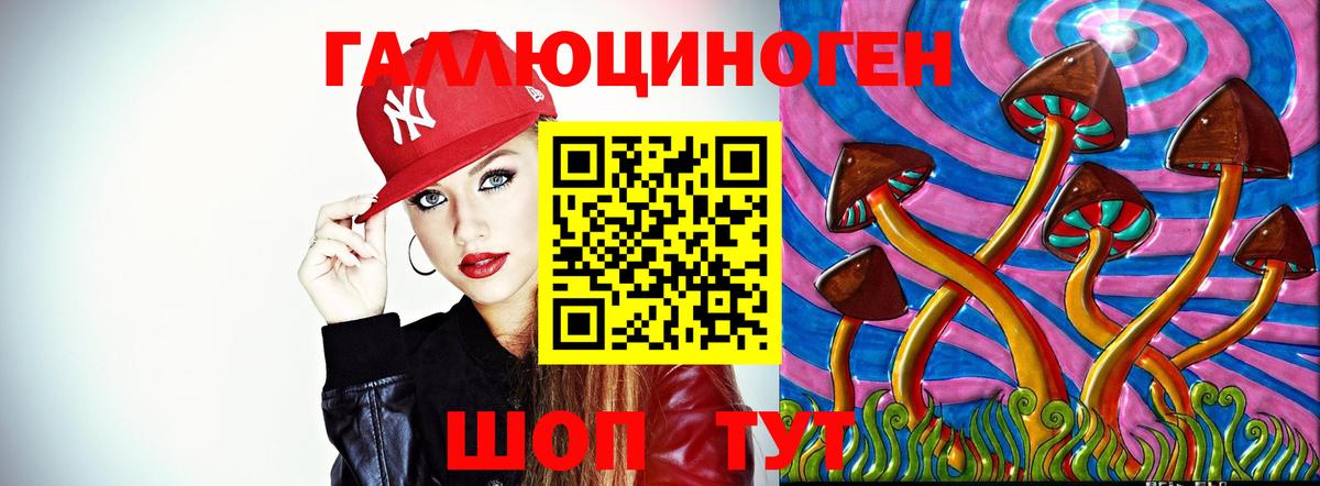 Галлюциногенные грибы Psilocybe Узловая